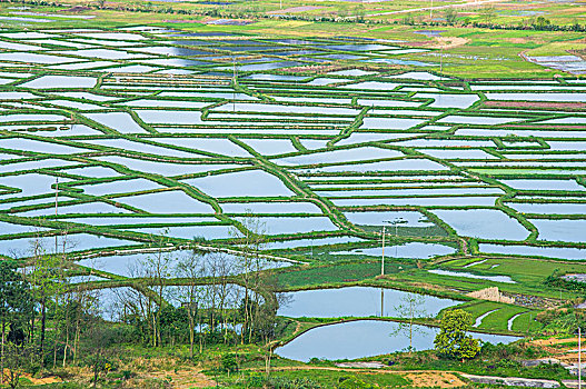 水田风光