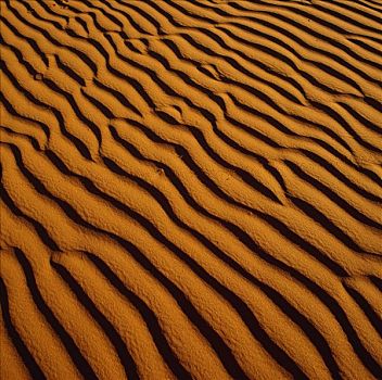 波纹,沙子,沙漠