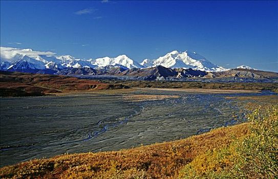 河床,秋天,苔原,山,麦金利山,背影,德纳里峰国家公园,阿拉斯加,美国