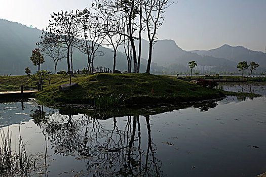 屯溪江边湿地小景