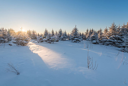 冬季长白山的雪地和雾凇