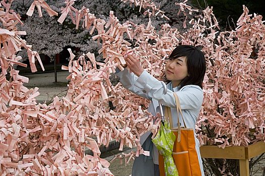 女人,放置,纸,祈祷,树,京都,日本