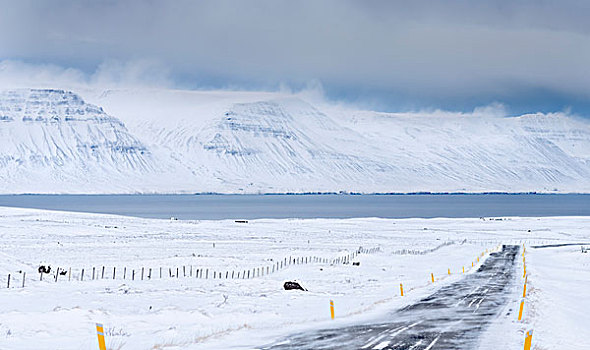 风景,冬天,乡间小路,峡湾,背景,冰岛,大幅,尺寸