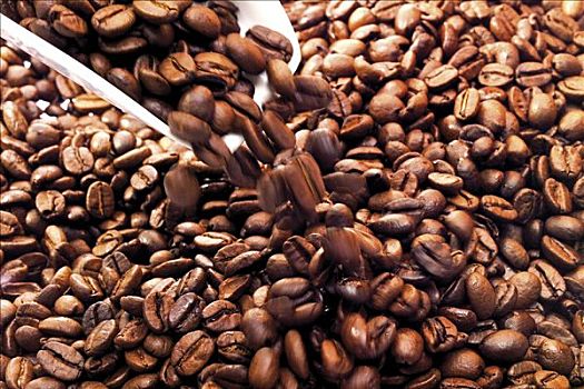 咖啡豆,小,舀具