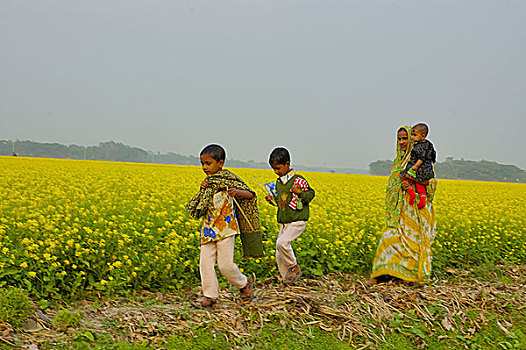 女人,三个,儿童,走,过去,芥末,地点,乡村,近郊,达卡,首都,孟加拉,十二月,2006年