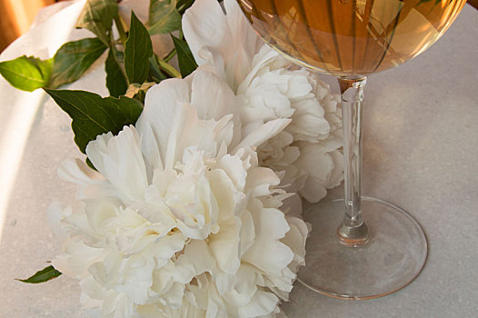 白葡萄酒,玻璃杯,牡丹,花,浪漫,餐饭