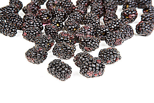 特写,黑莓,鲜明,背景