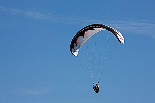 滑翔伞,摩泽尔,莱茵兰普法尔茨州,德国,欧洲