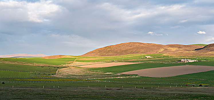 风景,农场,地点,山,日落,奥克尼群岛,苏格兰,大幅,尺寸