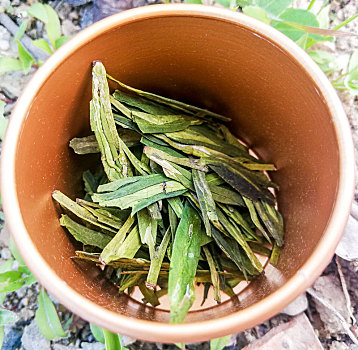 龙井茶叶