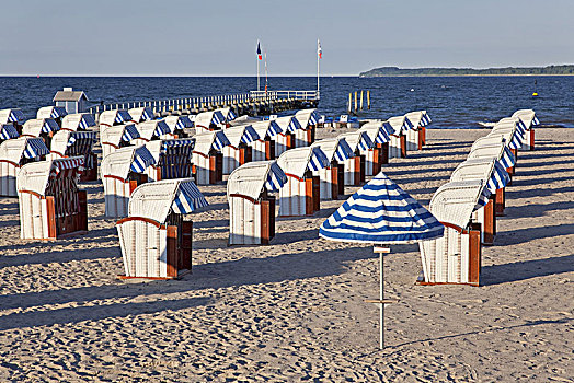 海滩,波罗的海,水疗,特拉弗明德,靠近,石勒苏益格,黑白花牛,德国北部,德国