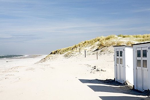 海滨别墅,海滩,特塞尔,荷兰