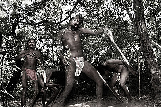 多人,种族,展示,猎捕,跳舞,斯里兰卡,八月,2008年,树林,居民,保存,线条,下降