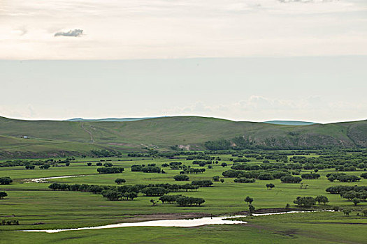 内蒙古呼伦贝尔额尔古纳根河湿地