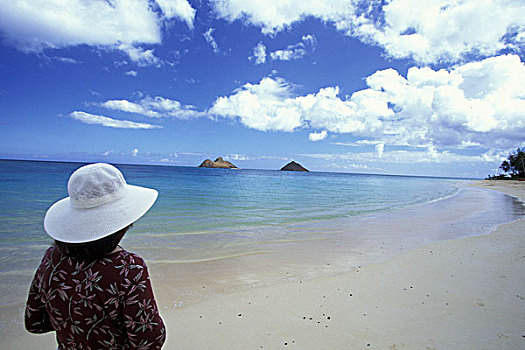 美国,夏威夷,瓦胡岛,注视,莫库鲁阿岛,岛屿