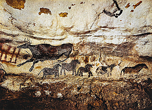 石洞壁画,母牛,马,法国