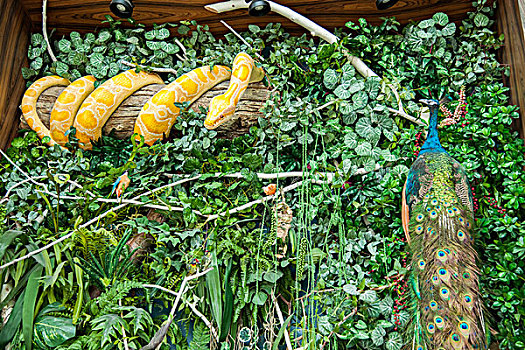 泰国毒蛇研究中心森林装饰