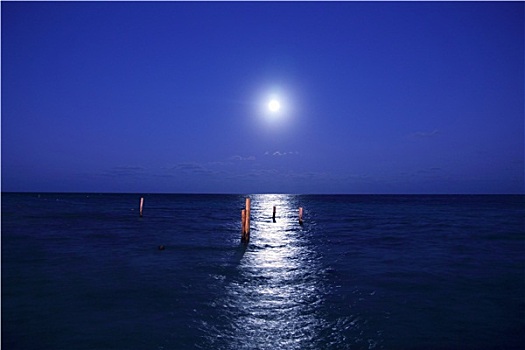 加勒比,月夜,海洋,反射,景色