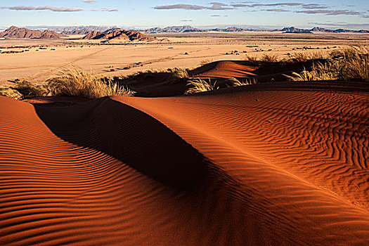 沙丘,风景,草,草原,塞斯瑞姆,露营,纳米布沙漠,纳米比沙漠,公园,纳米比亚,非洲