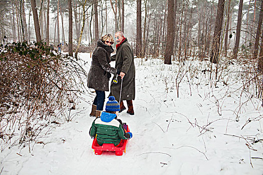 祖父母,拉拽,孙子,雪橇,雪中