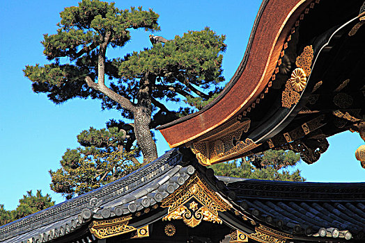 日本,京都,二条城,大门,建筑细节