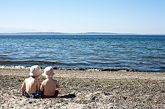两个,2岁,男孩,坐,后背,看镜头,海滩,面对,水
