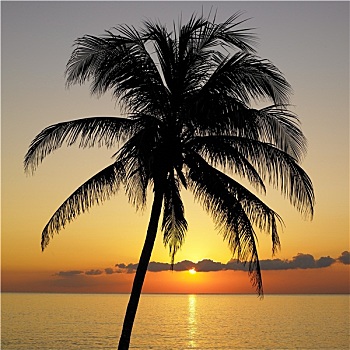 日落,上方,加勒比海,玛丽亚,省,古巴
