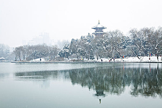 雪景