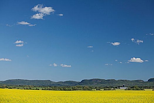 土地,蓝天,桑德贝,安大略省,加拿大