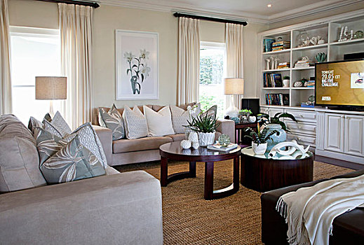 苍白,沙发,放置,散落,垫子,暗色,木质,茶几,客厅