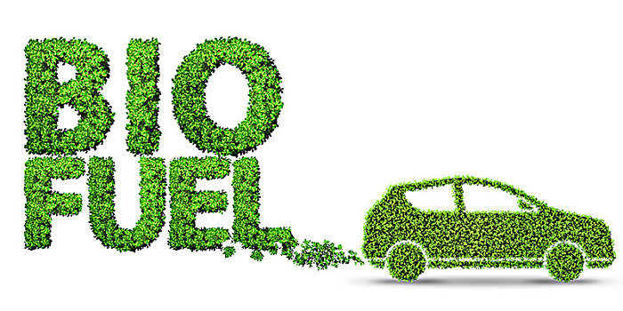 生物燃料汽车图片
