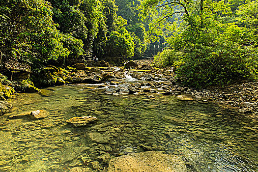 自燃山水