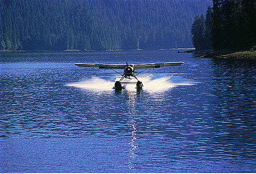 水上飞机,阿拉斯加,美国
