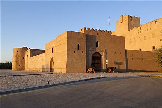 历史,砖坯,要塞,堡垒,城堡,哈迦,加尔比,山峦,区域,阿曼苏丹国,阿拉伯,中东