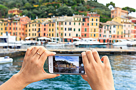 游客,照相,智能手机,波托菲诺,省,热那亚,利古里亚,意大利