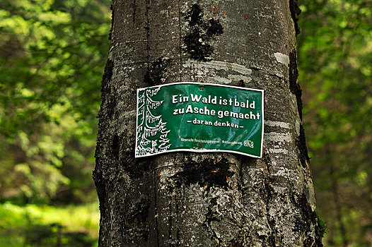 警告标识,德国,树,预防,树林,拉姆绍北贝希特斯加登,贝希特斯加登地区,地区,上巴伐利亚,巴伐利亚,欧洲