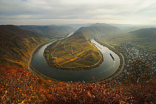 弯曲,摩泽尔,河,靠近,布瑞姆,秋天,莱茵兰普法尔茨州,德国,欧洲