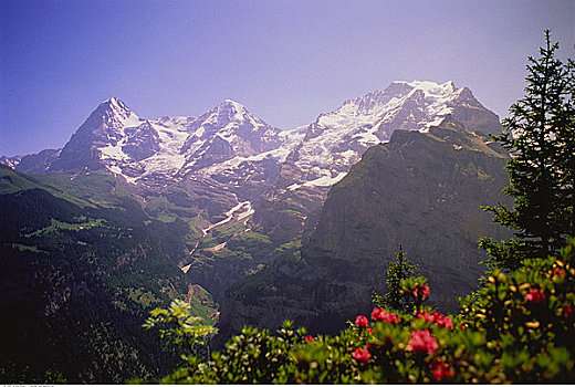瑞士,阿尔卑斯山,少女峰