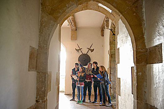 学生,检查,中世纪,城堡