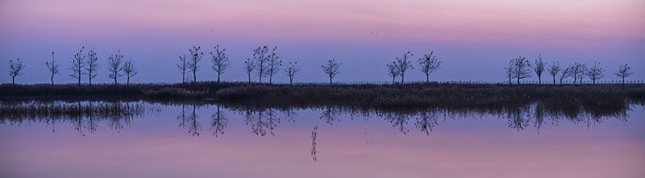 沙湖农场,沙湖景区