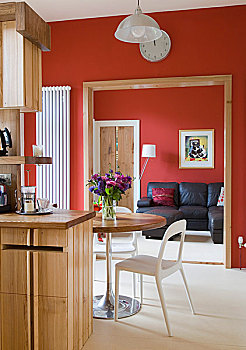 开放式格局,厨房,入口,红色,起居室