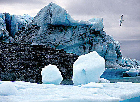 冰岛,冰河,泻湖,杰古沙龙湖