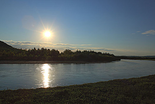 湿地,河流,树木