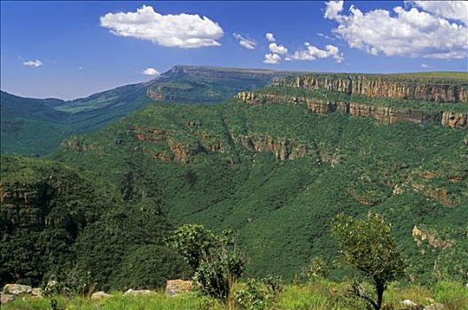 南非,布莱德河峡谷