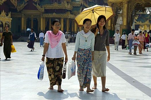 三个,缅甸,女人,伞,大金塔,仰光