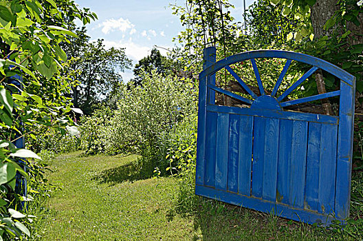 打开,蓝色,旧式,木门,夏天,花园