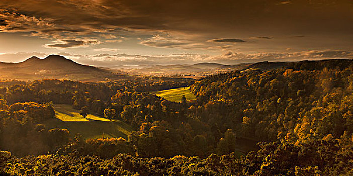 阳光,树,山峦,云,苏格兰,景色,苏格兰边境