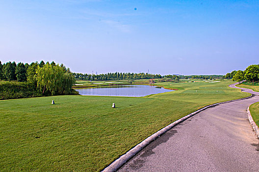 高尔夫球场道路