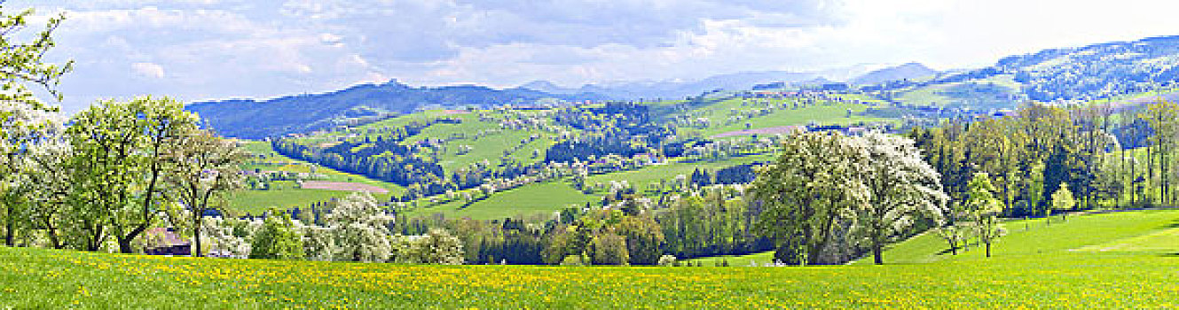 风景,莫斯托格,下奥地利州,奥地利
