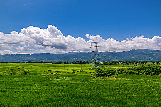 田园乡村